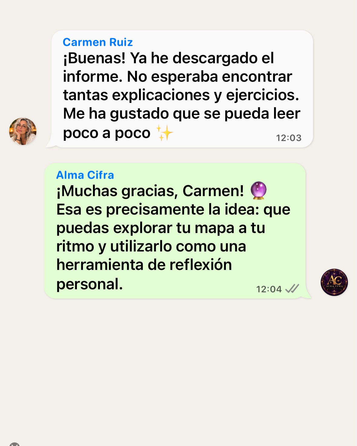 Conversación de WhatsApp ilustrativa: Un mapa para volver a consultar